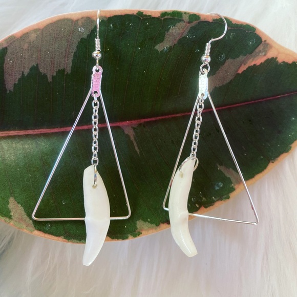 Coyote tooth earrings - Picture 1 of 2